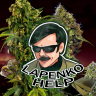 LapenkoHelp