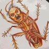 Лукашенко Чмо
