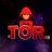 @TORrcBoss