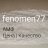 fenomen77
