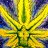 SOS 420 SUPPORT