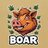BOAR SHOP
