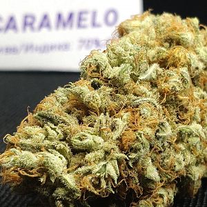 Caramelo